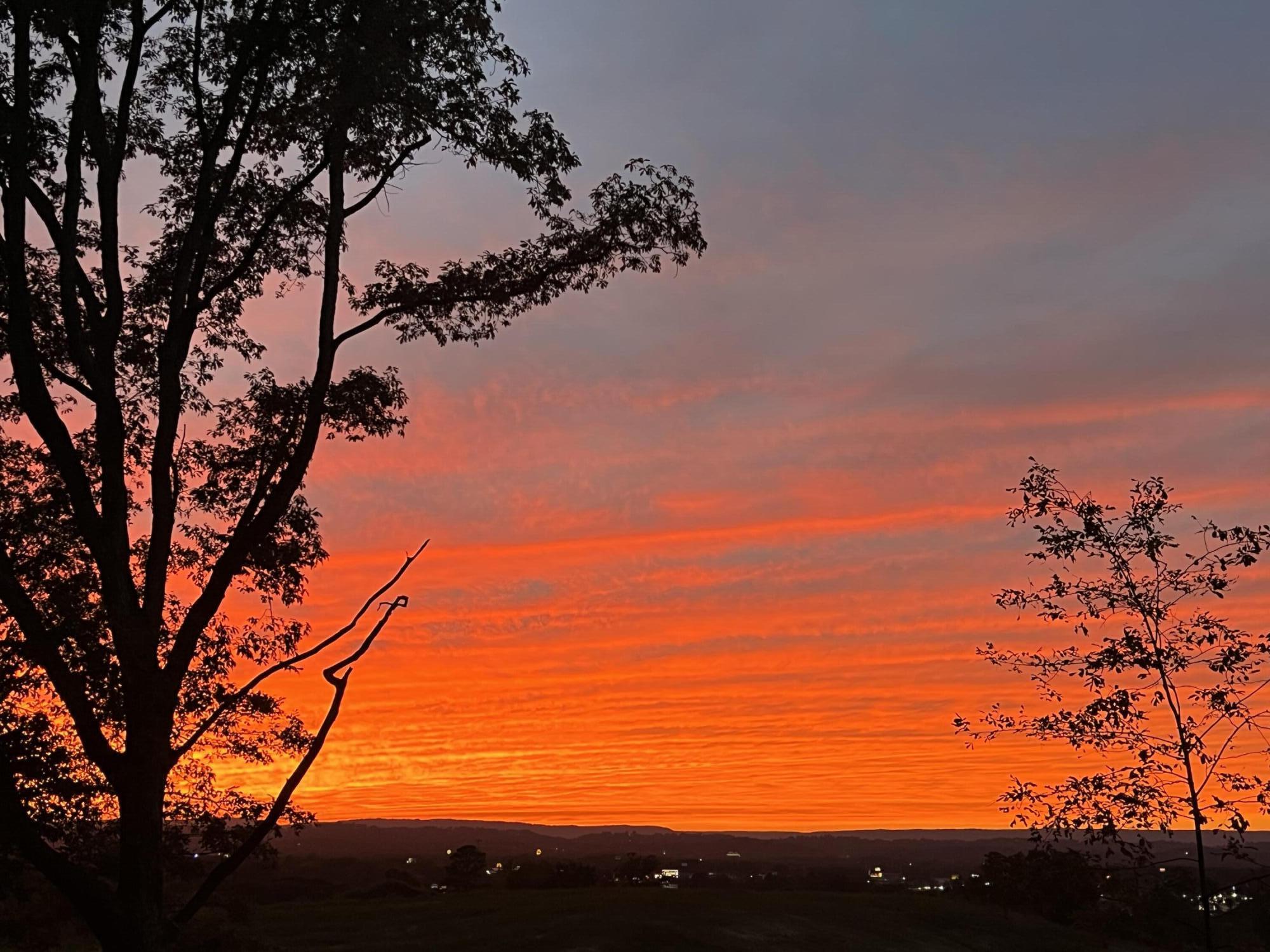 198 Biggs Road Ringgold, GA 30736 - Photo 4 of 48 IMG_4994
