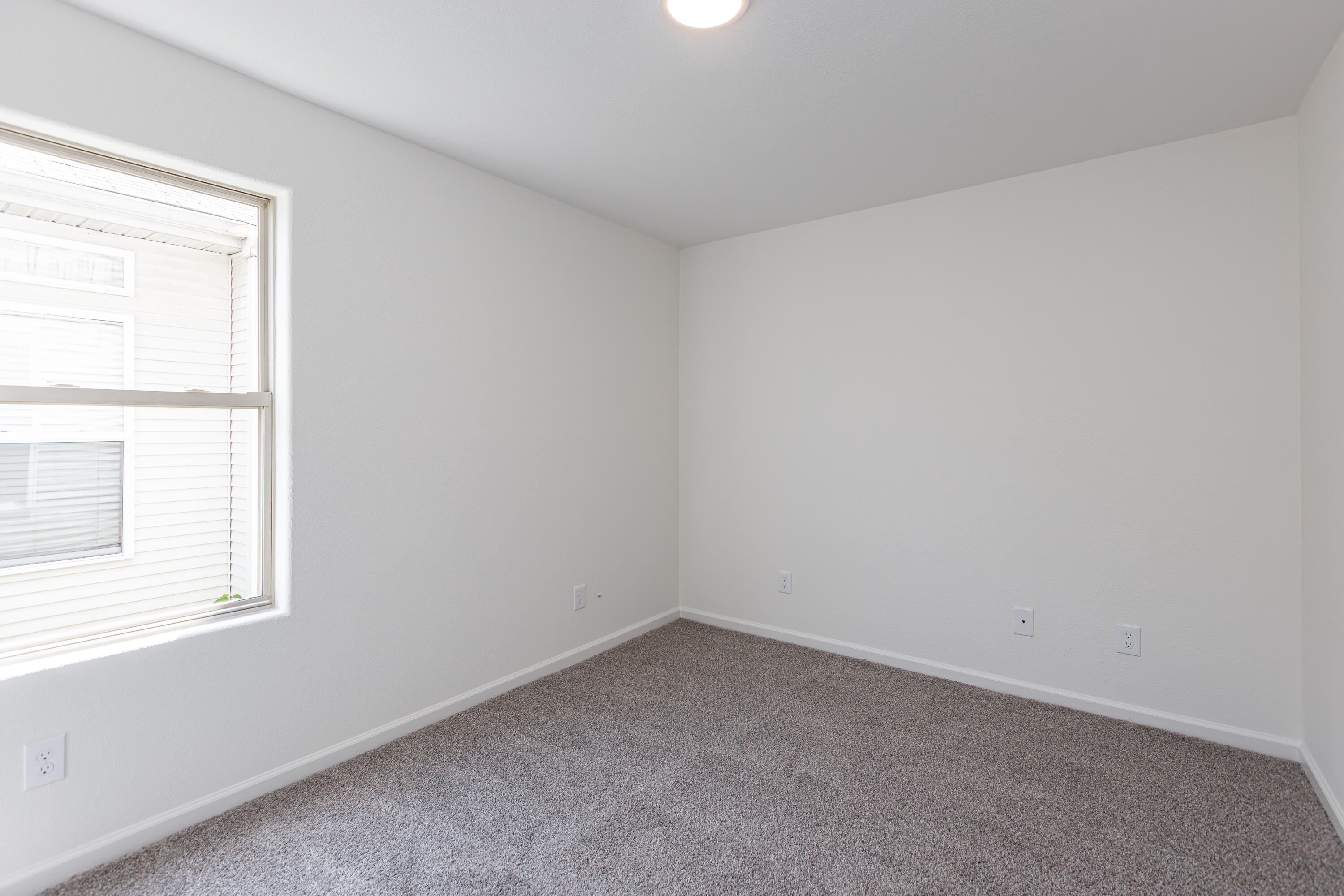 409 Ella Rae Lane Lexington, KY 40511 - Photo 17 of 28 17