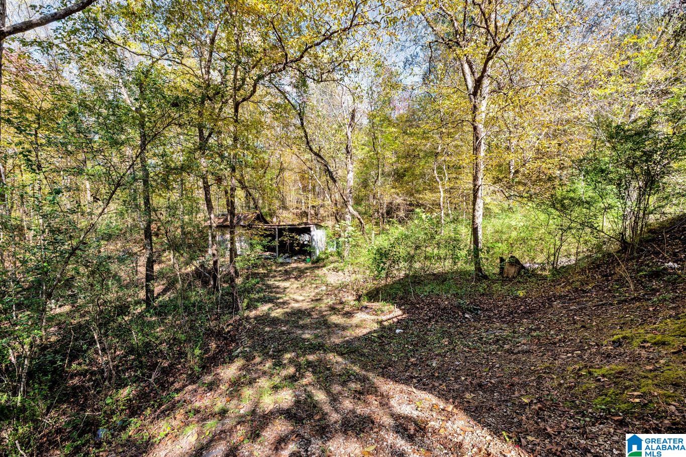 421 Tubbs Hill Road Oakman, AL 35579 - Photo 36 of 49