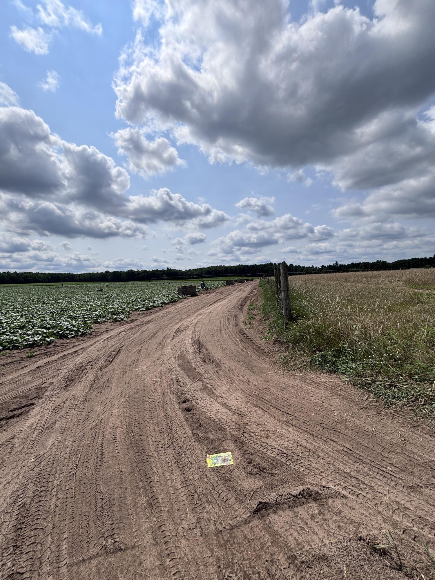 Johnson Road Kaleva, MI 49645 - Photo 12 of 20 IMG_5375