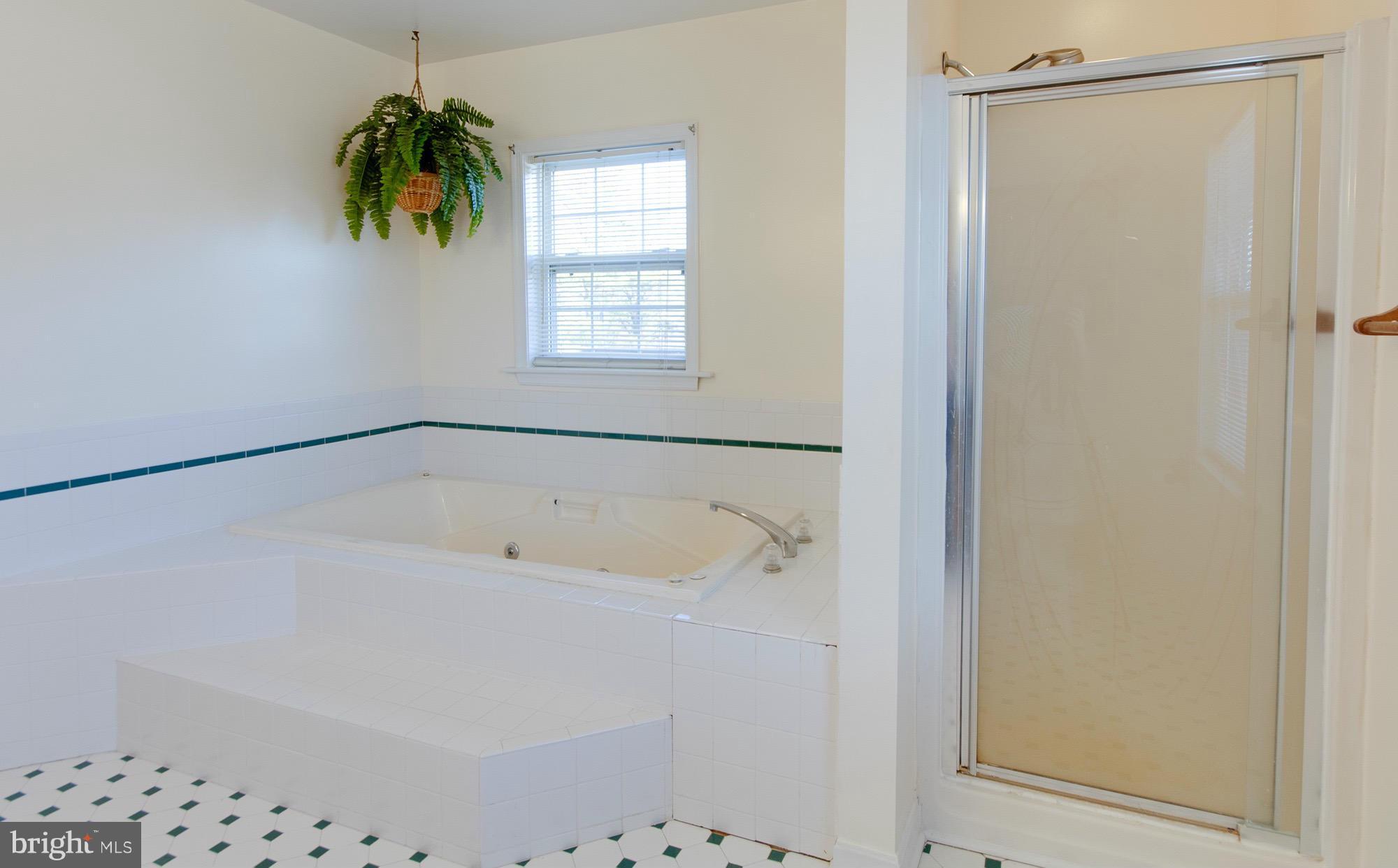 8983 Broomes Island Road Broomes Island, MD 20615 - Photo 21 of 30 Bath (Master)
