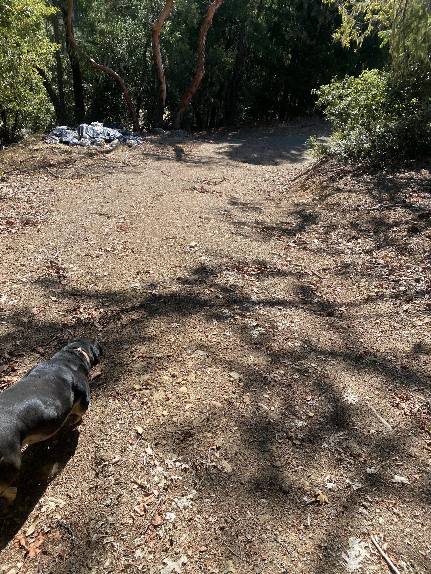 1780 Mcdonald Creek Road Burnt Ranch, CA 95527 - Photo 43 of 58