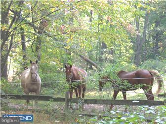 159 Wynn Hollow Road Glenmoore, PA 19343 - Photo 12 of 12 Gallery Image 12