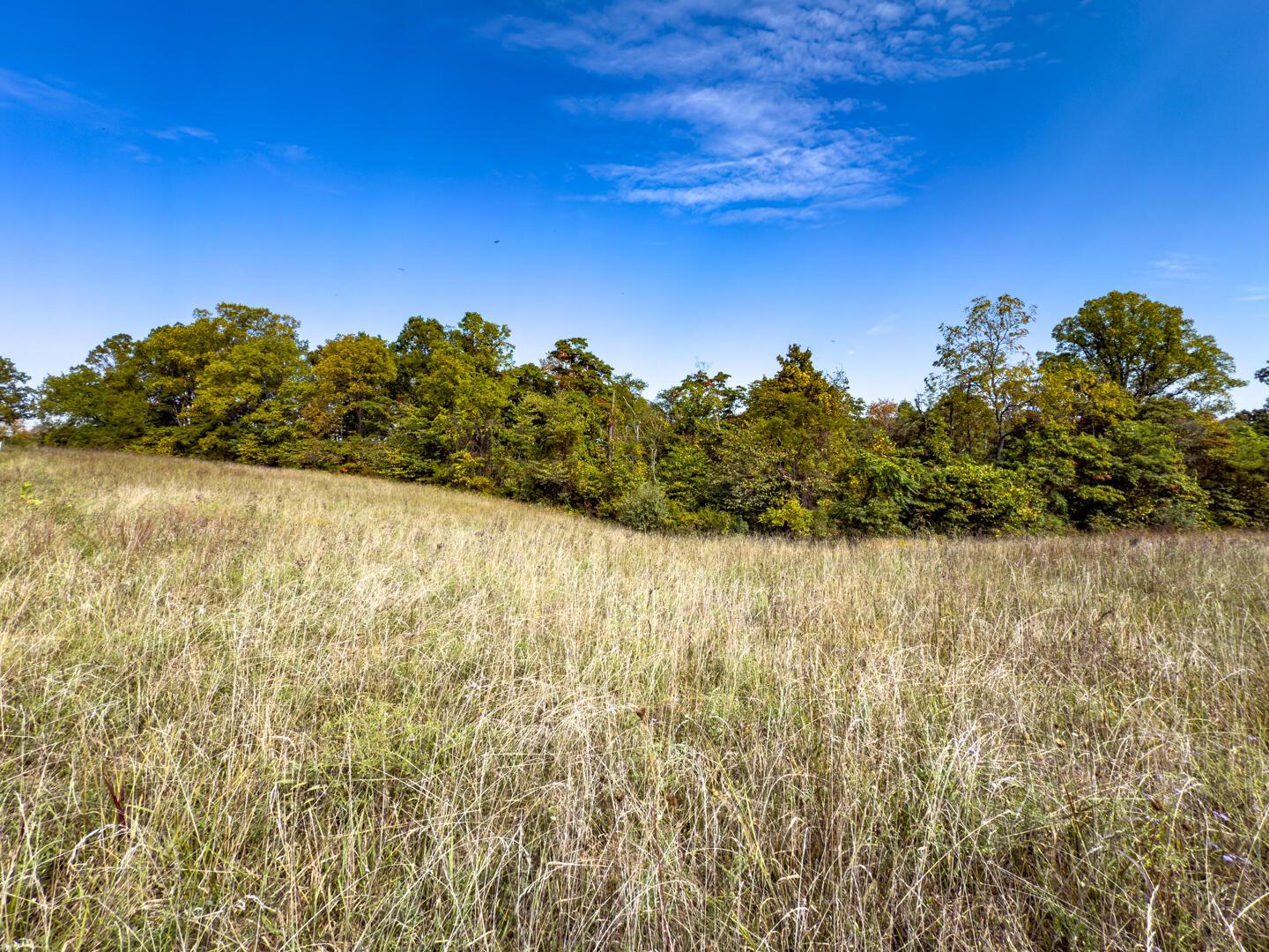 4 Perry Ridge Road Wilkesville, OH 45695 - Photo 5 of 12 Perry Ridge Rd; 2.5 ac-3368