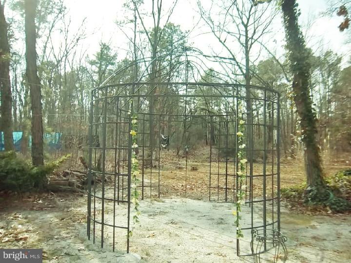 305 Lakedale Road Berlin, NJ 08009 - Photo 18 of 22 Back Yard