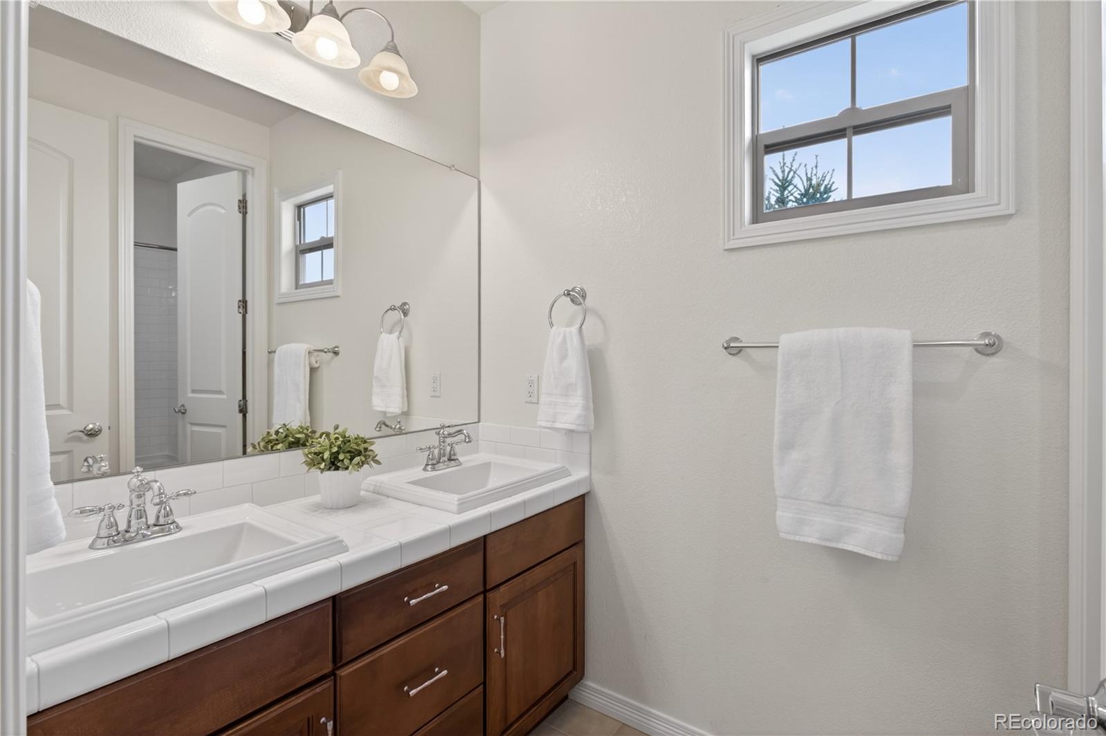 10663 Sundial Rim Road Highlands Ranch, CO 80126 - Photo 29 of 49