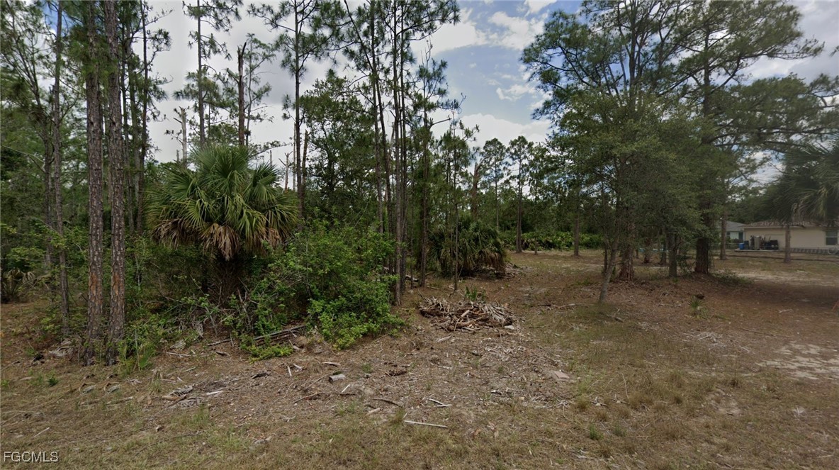 2016 Grayson Avenue Alva, FL 33920 - Photo 6 of 7 a view of a forest with trees