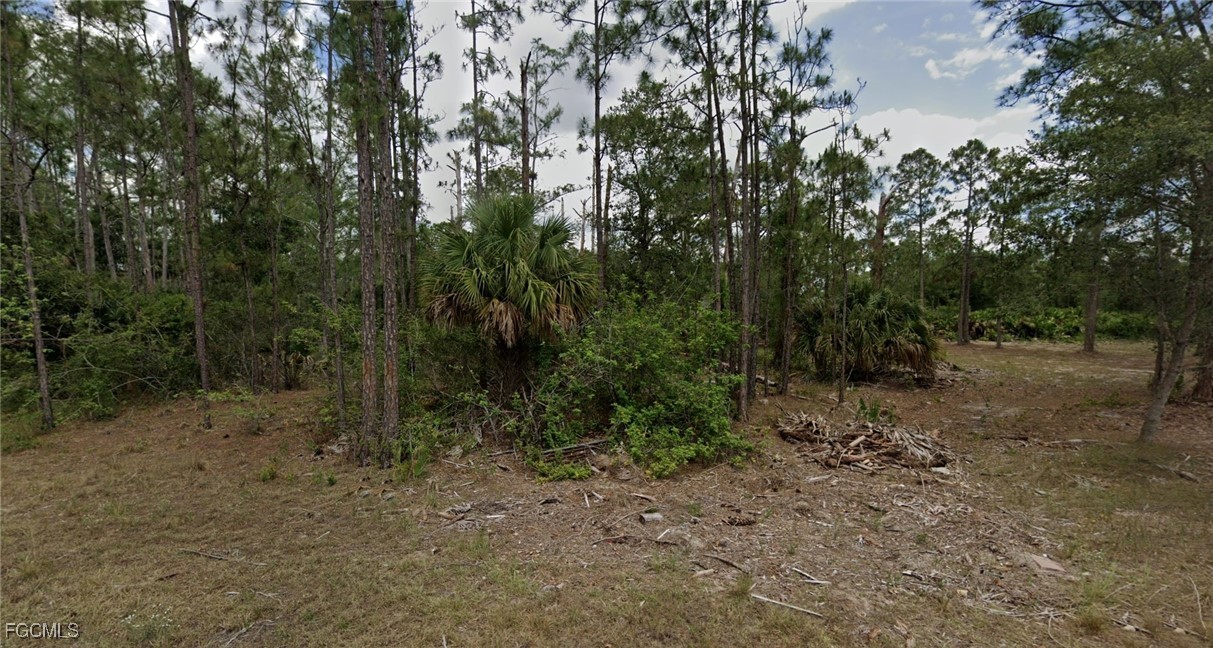 2016 Grayson Avenue Alva, FL 33920 - Photo 7 of 7 a view of a forest with trees in the background