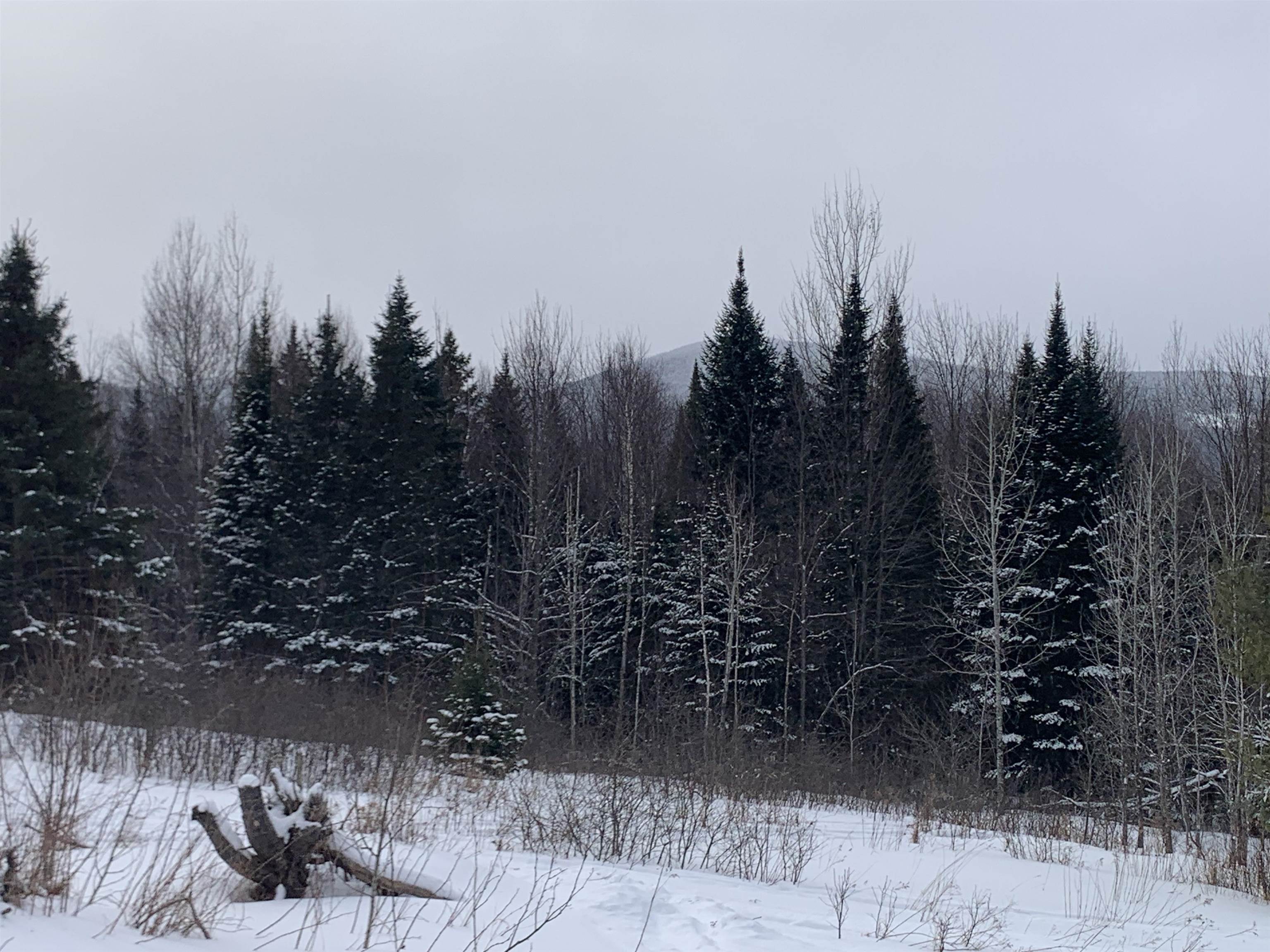 Tbd Oakes Road Colebrook, NH 03576 - Photo 11 of 15