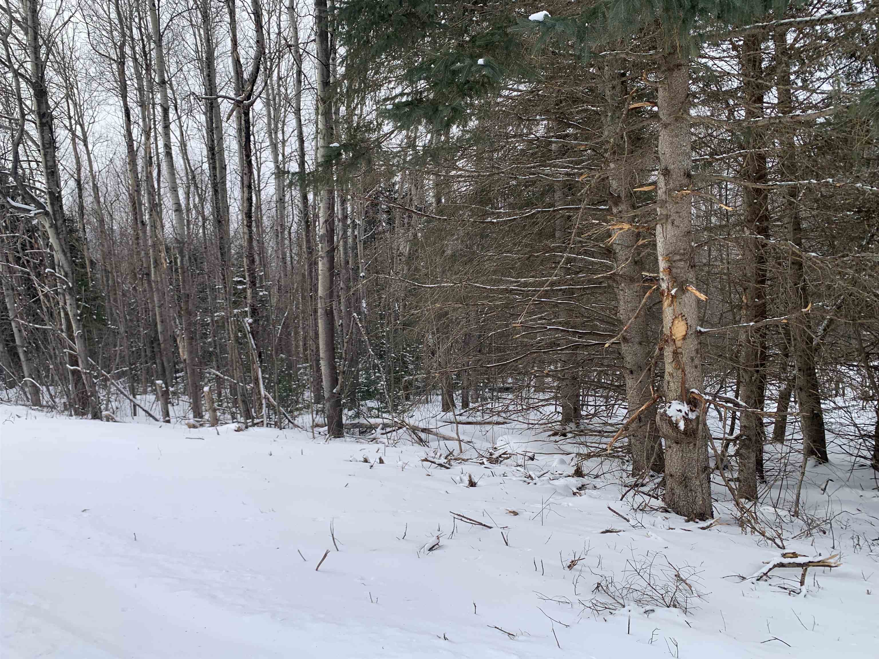 Tbd Oakes Road Colebrook, NH 03576 - Photo 15 of 15