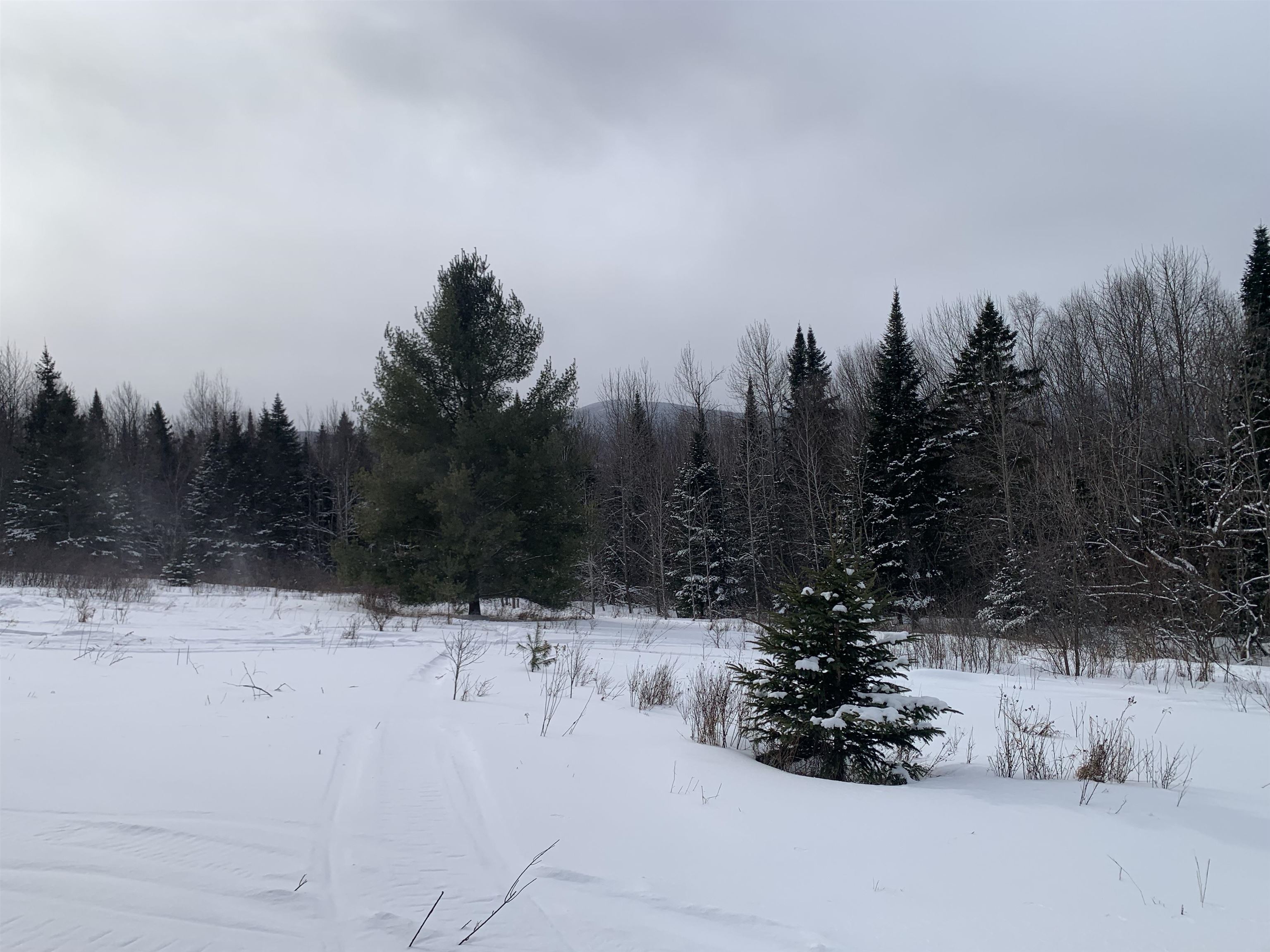 Tbd Oakes Road Colebrook, NH 03576 - Photo 4 of 15