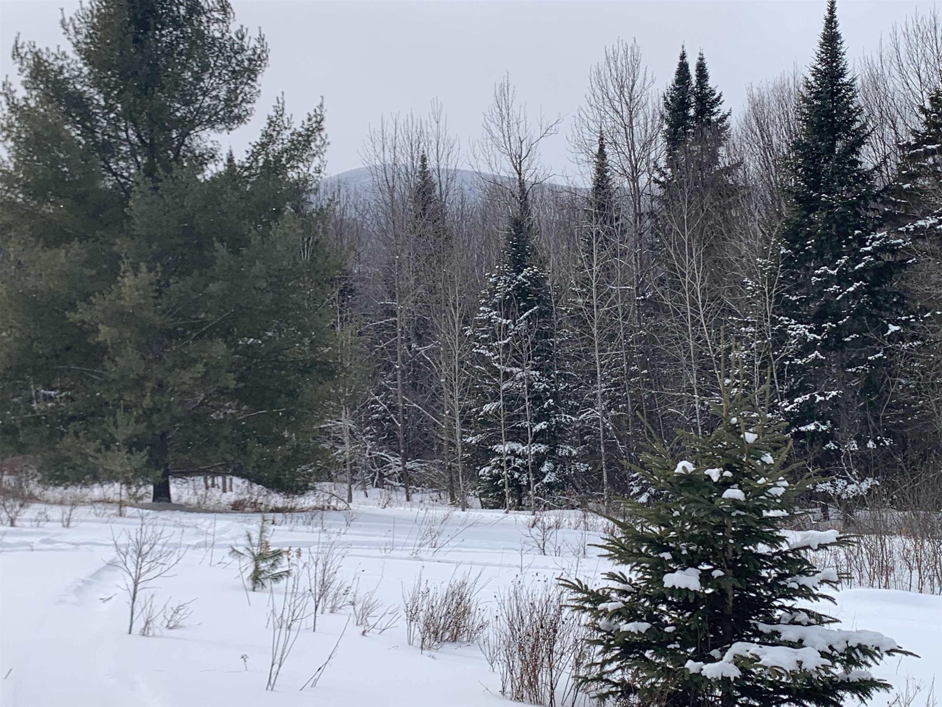 Tbd Oakes Road Colebrook, NH 03576 - Photo 5 of 15