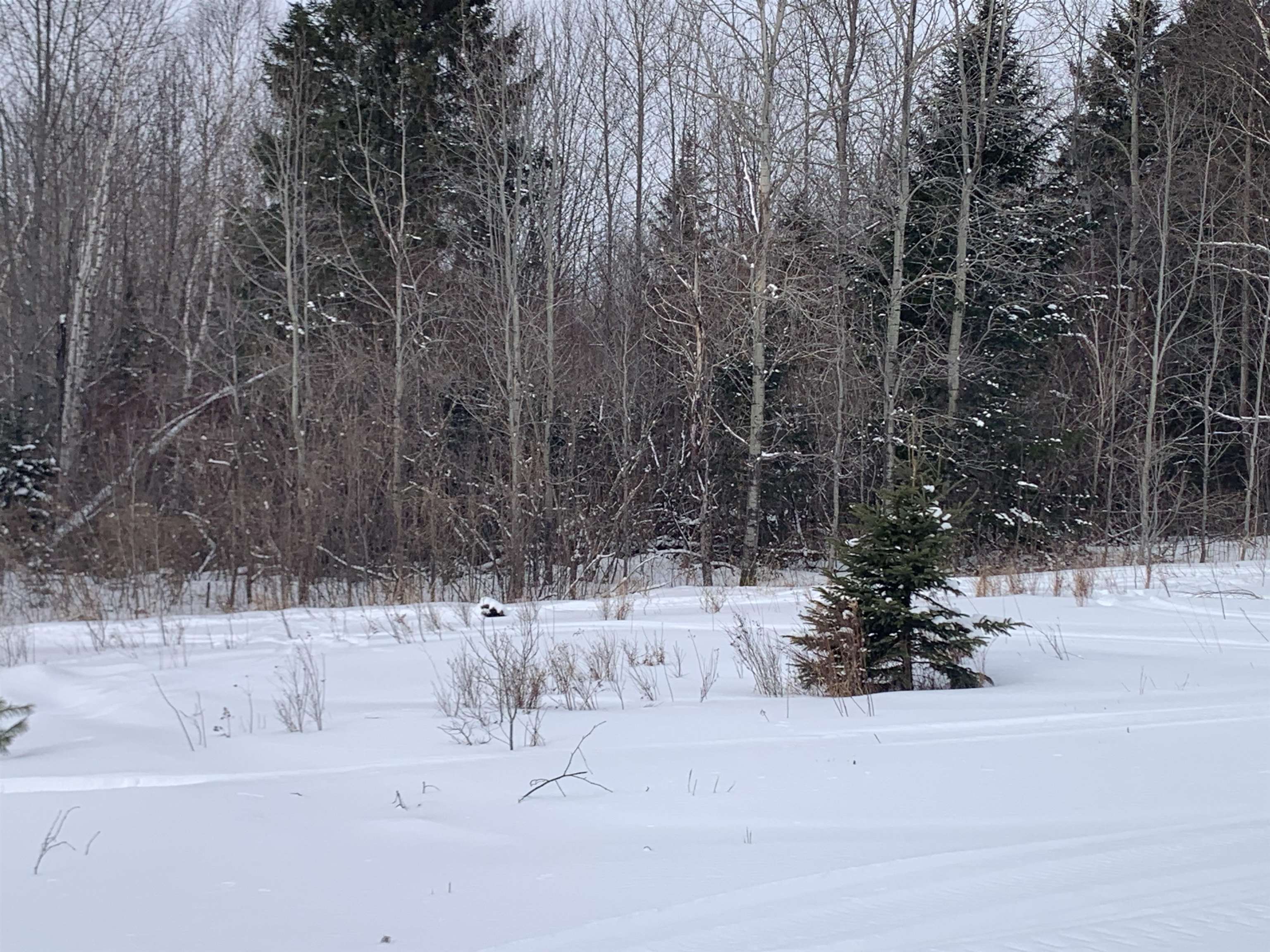 Tbd Oakes Road Colebrook, NH 03576 - Photo 10 of 15