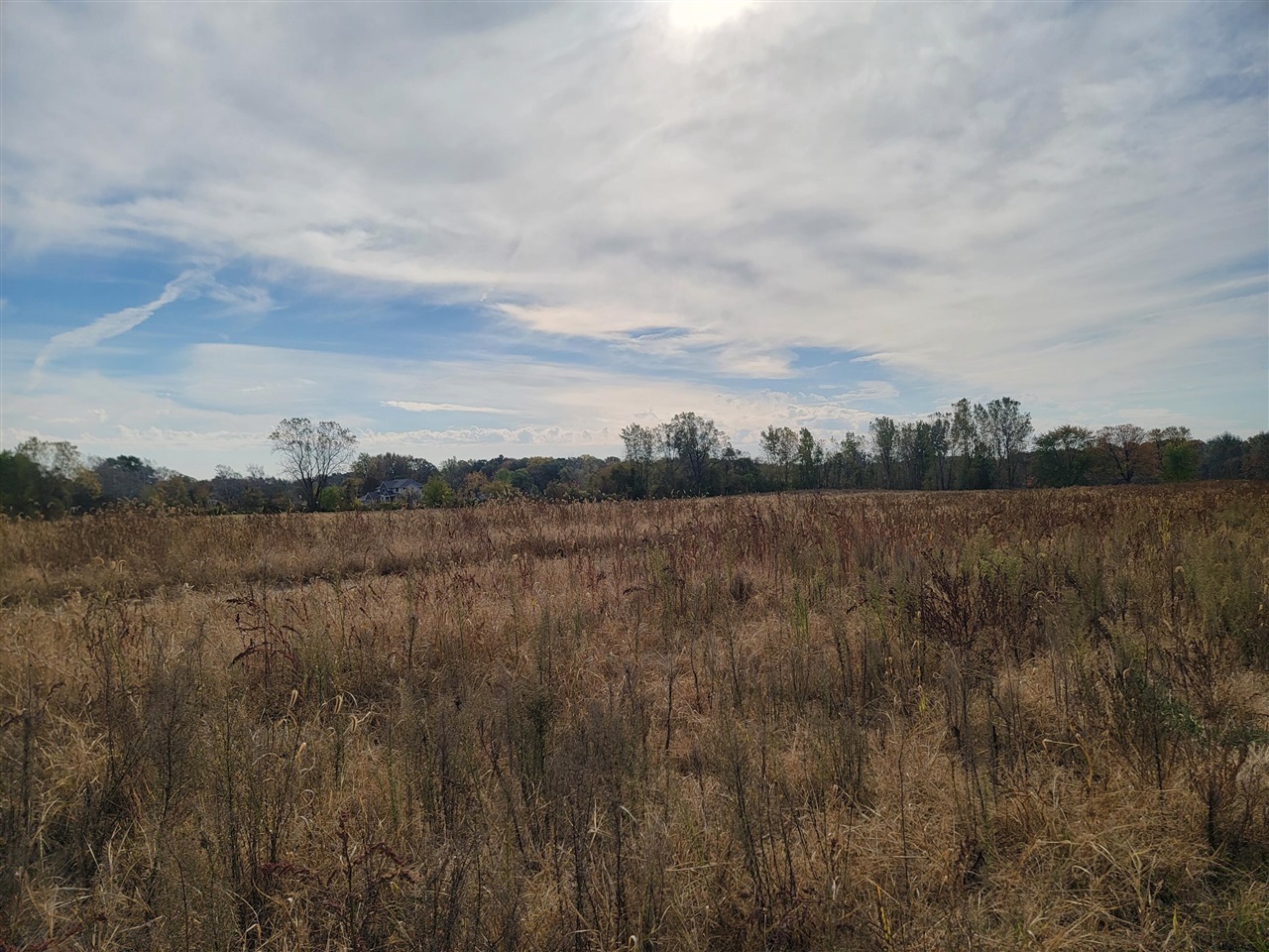 905 Fisher Road Quincy, MI 49082 - Photo 25 of 33