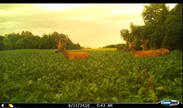 $219,900 | 2910 West Bass Creek Road, Beloit, WI 53511