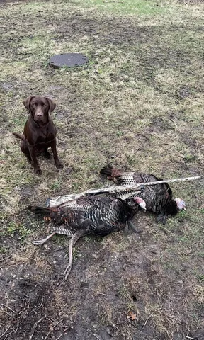 $219,900 | 2910 West Bass Creek Road, Beloit, WI 53511