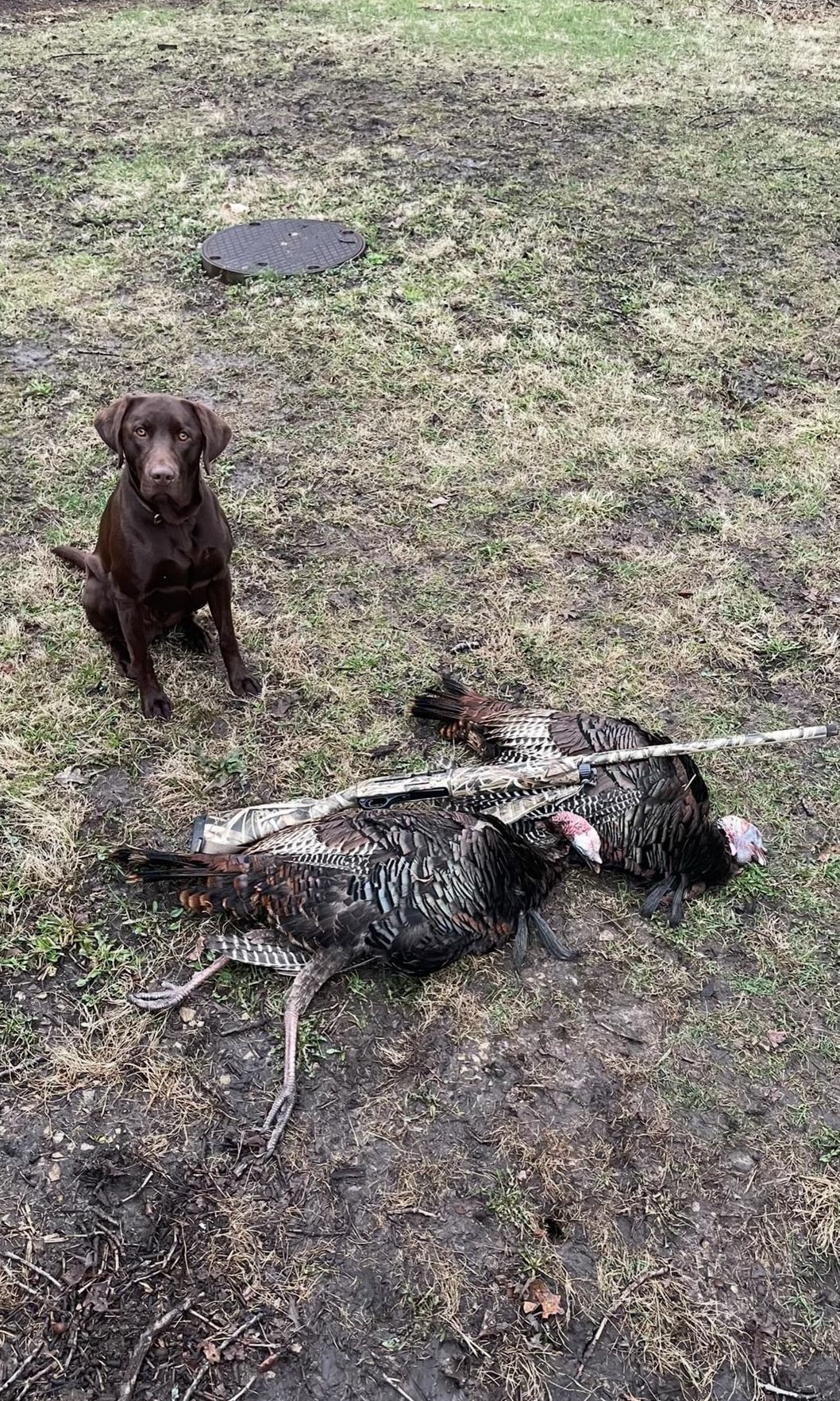 2910 West Bass Creek Road Beloit, WI 53511 - Photo 22 of 23