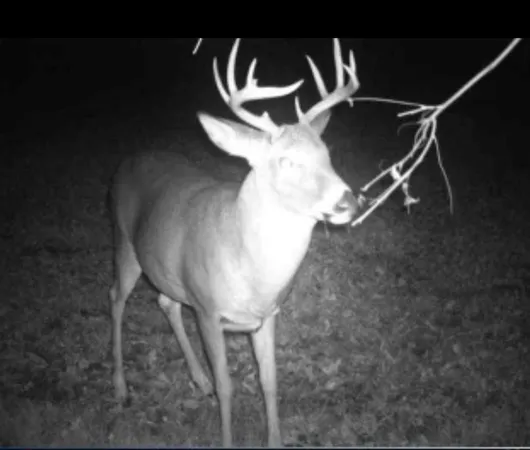 $215,000 | 2910 West Bass Creek Road, Beloit, WI 53511