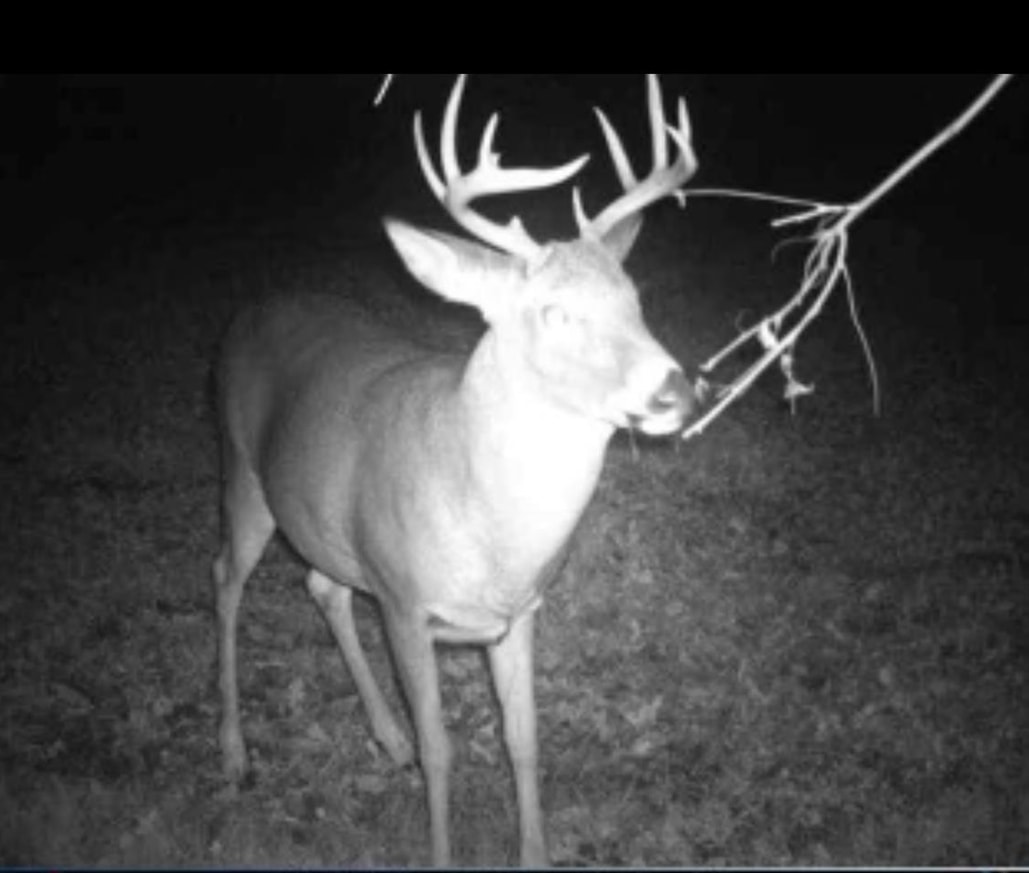 2910 West Bass Creek Road Beloit, WI 53511 - Photo 23 of 23