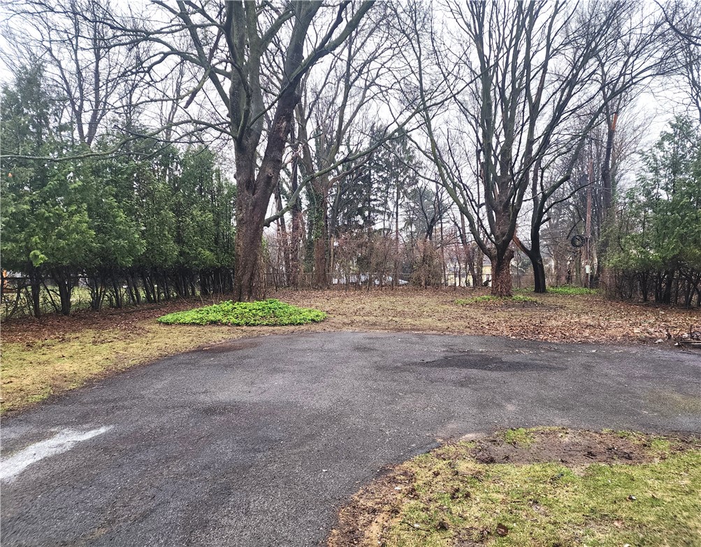 167 Elmtree Road Rochester, NY 14612 - Photo 4 of 18