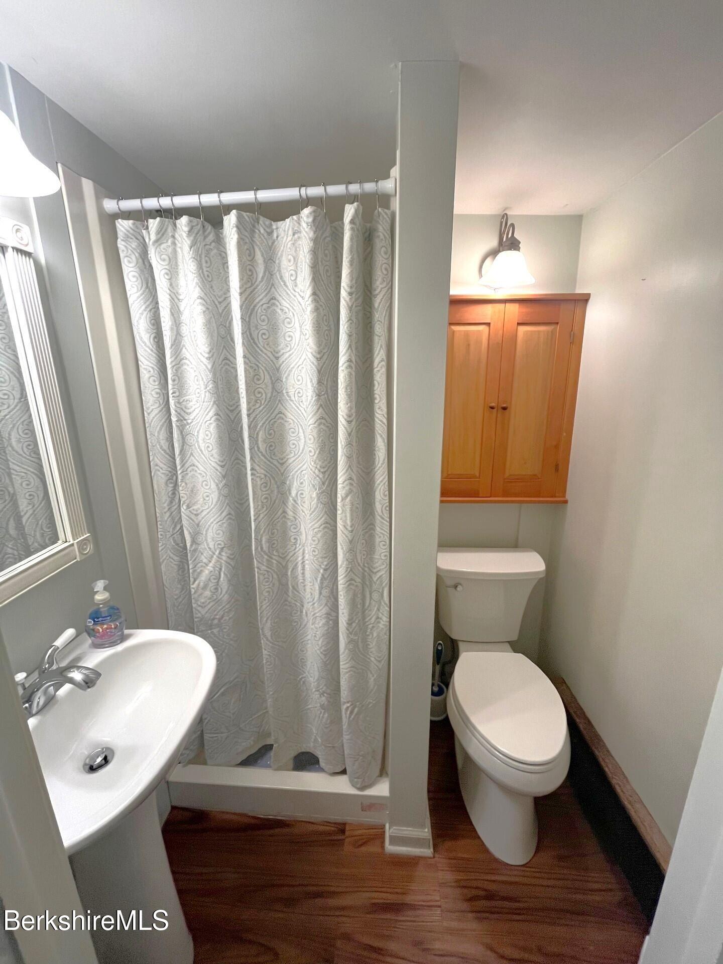 20 South Mountain Road Pittsfield, MA 01201 - Photo 27 of 51 DownstairsBathroom