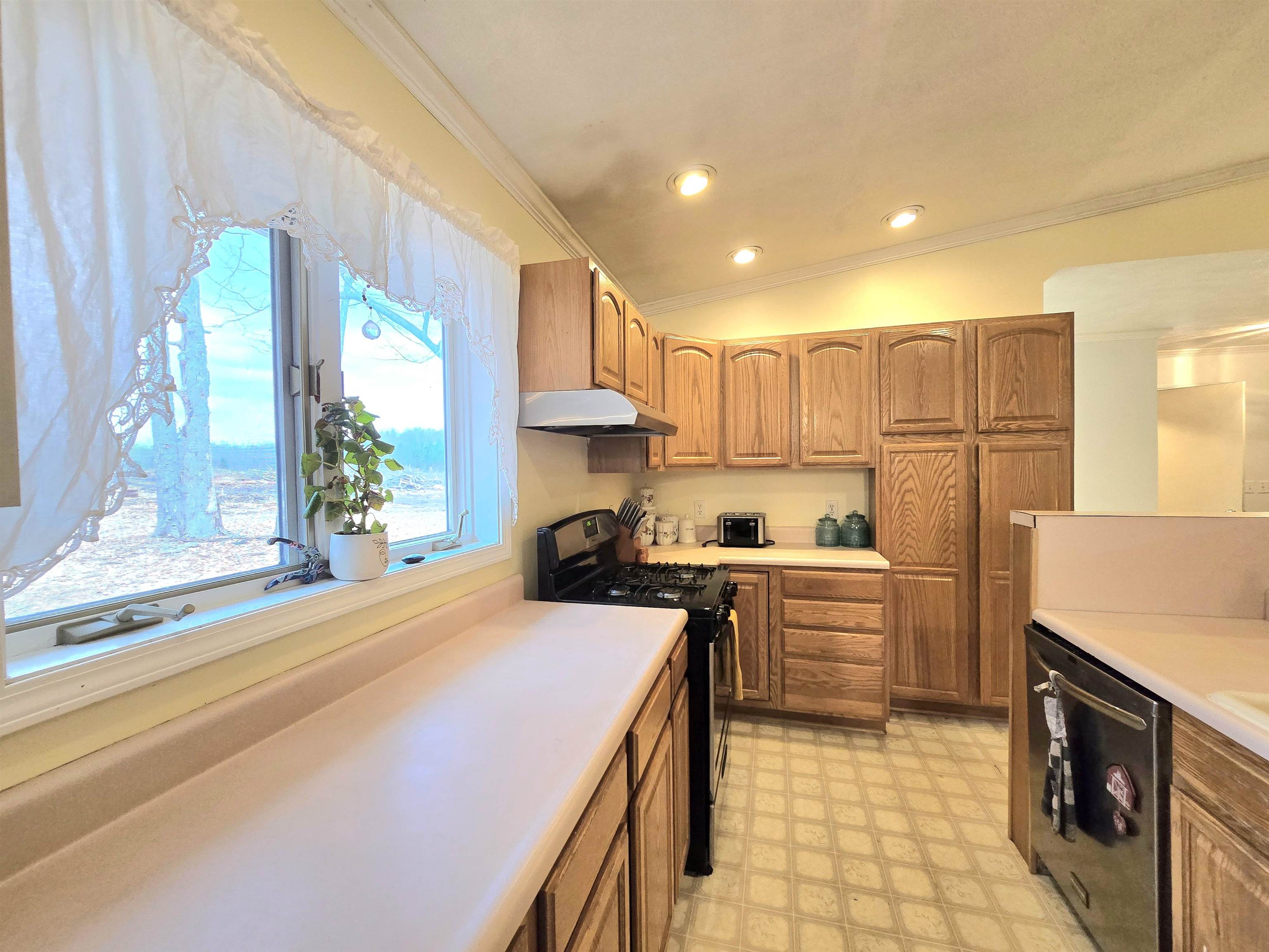 3236 South 31 Road Cadillac, MI 49601 - Photo 9 of 90