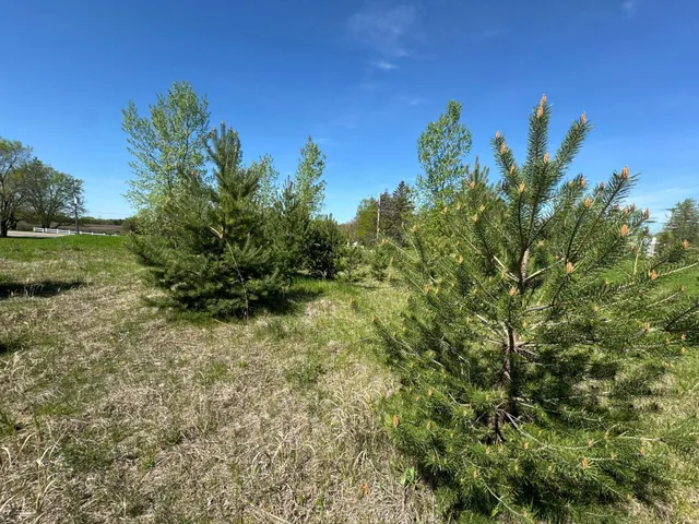 $45,000 | 2421 Oak Preserve Court, St. Cloud, MN 56304