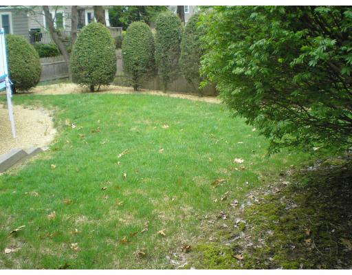 57 Hodge Road Arlington, MA 02474 - Photo 10 of 10
