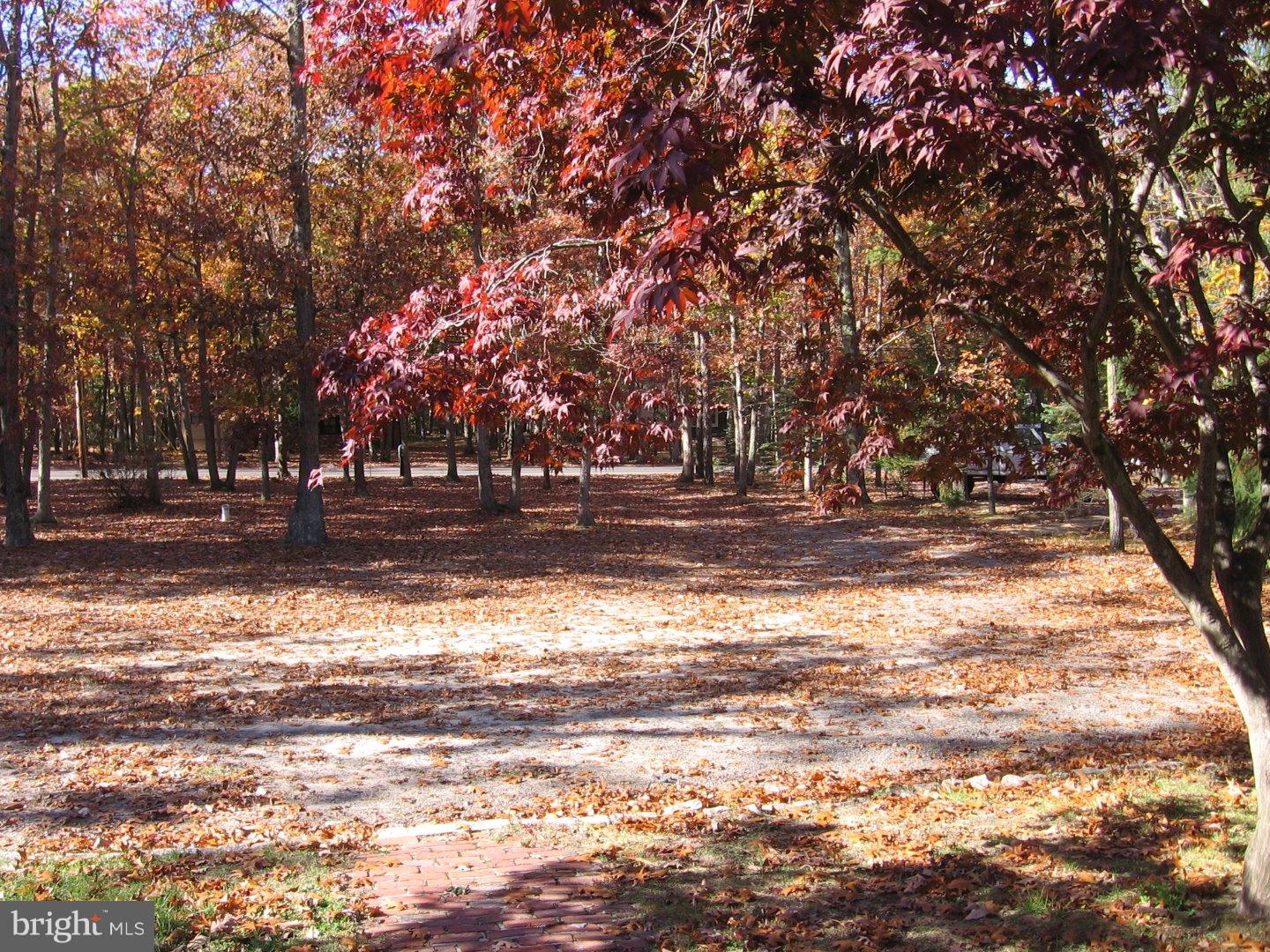 228 Oakshade Road Tabernacle, NJ 08088 - Photo 14 of 15