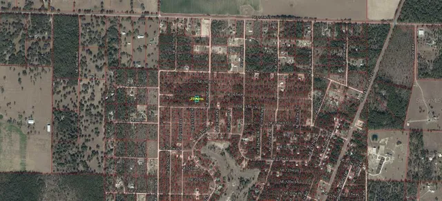 a view of a yard with a tree