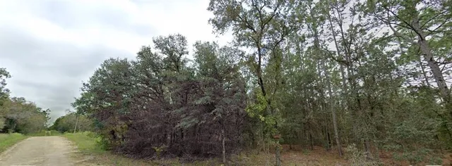 $14,900 | Tbd Northeast 16 Place, Williston, FL 32696