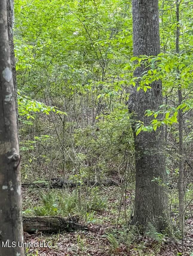 0 Ashley Road Brandon, MS 39042 - Photo 6 of 19 6354B242-ABA3-4434-8263-851AE6DE925D