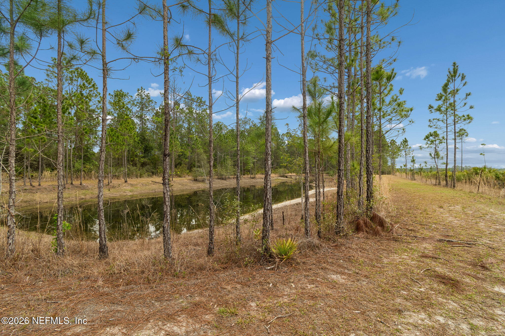 10293 Ford Road Bryceville, FL 32009 - Photo 50 of 63 94-DSC_4845