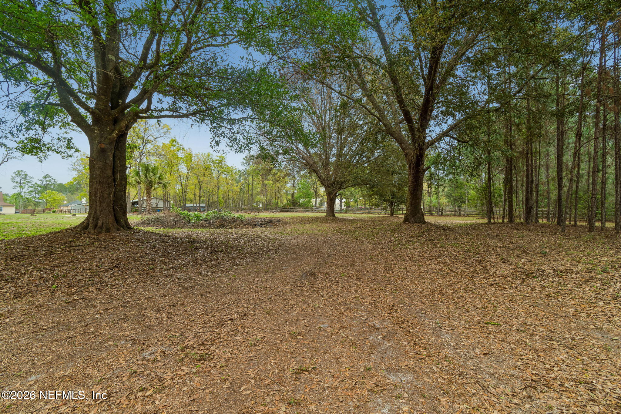 10293 Ford Road Bryceville, FL 32009 - Photo 53 of 63 a view of dirt yard with a tree