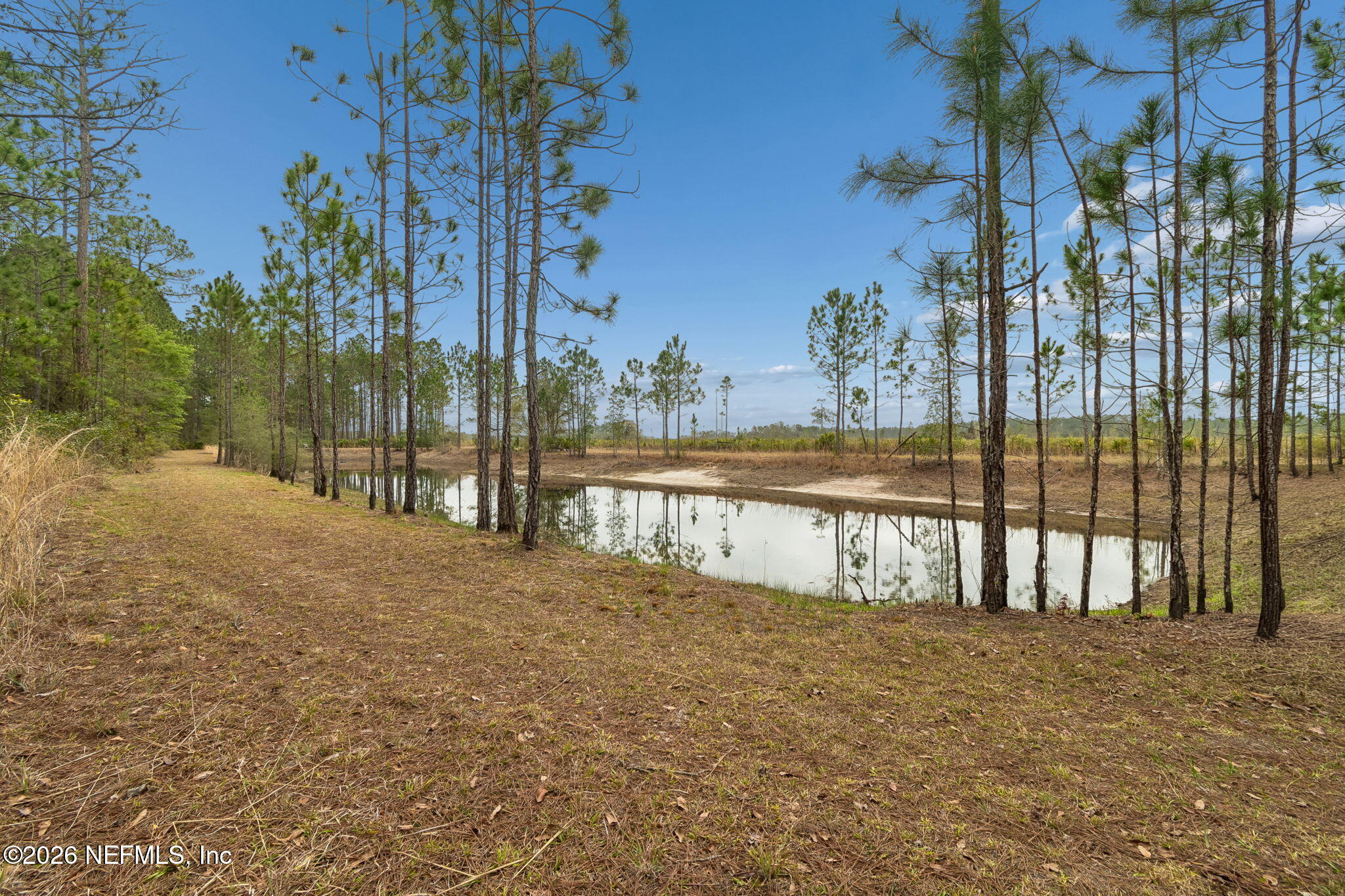10293 Ford Road Bryceville, FL 32009 - Photo 55 of 63 89-DSC_4820