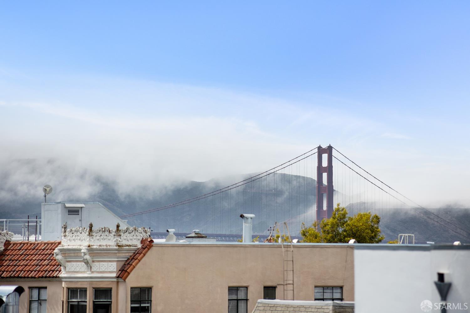 Webster Street San Francisco, CA 94123 - Photo 73 of 83