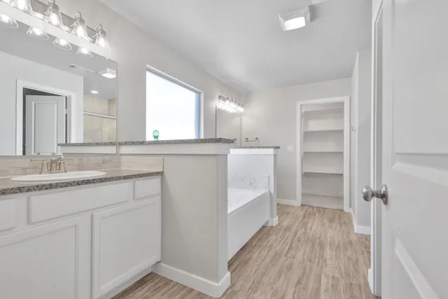 a bathroom with a sink a mirror and a shower