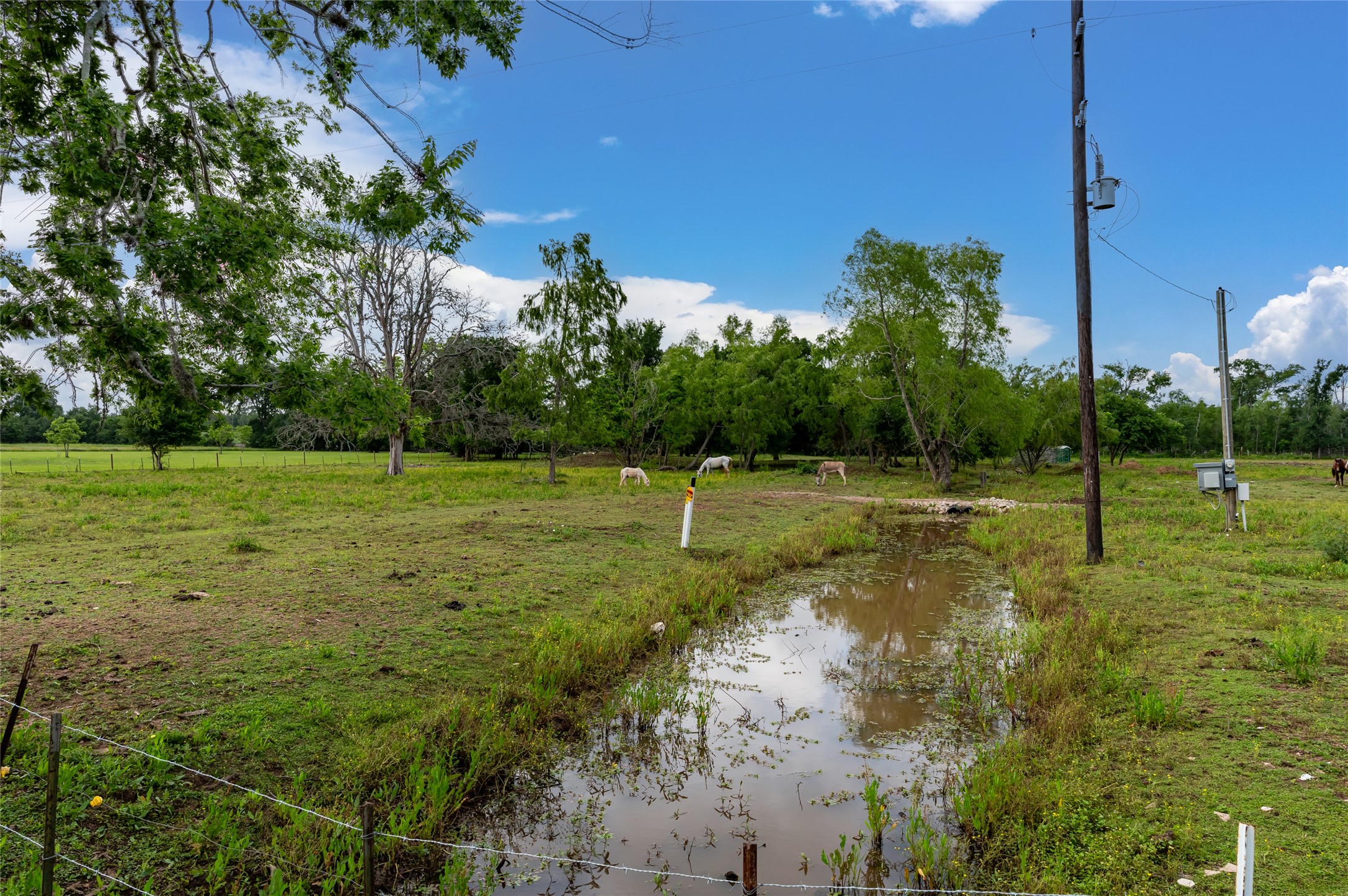 33703 Reynolds Road Fulshear, TX 77441 - Photo 4 of 18