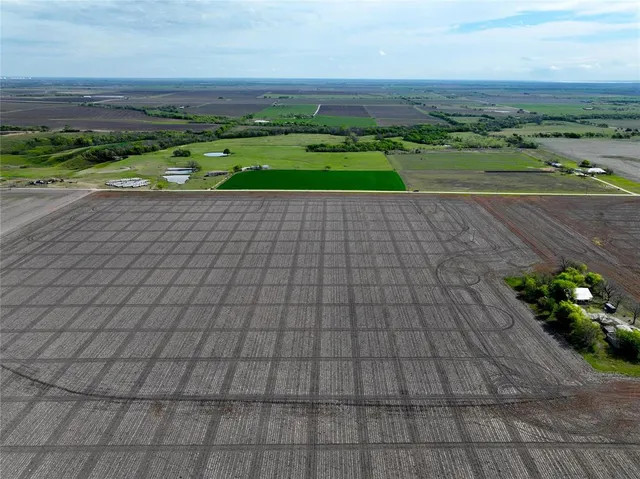a view of a garden with a table