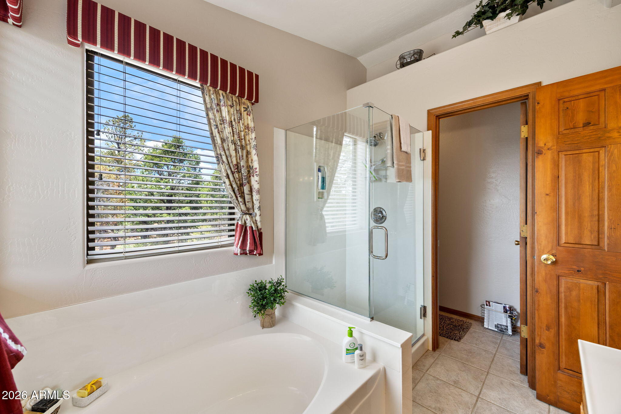 2788 Chandelle Lane Overgaard, AZ 85933 - Photo 21 of 37 2788ChandelleLn-HeberOvergaard-AZ-21