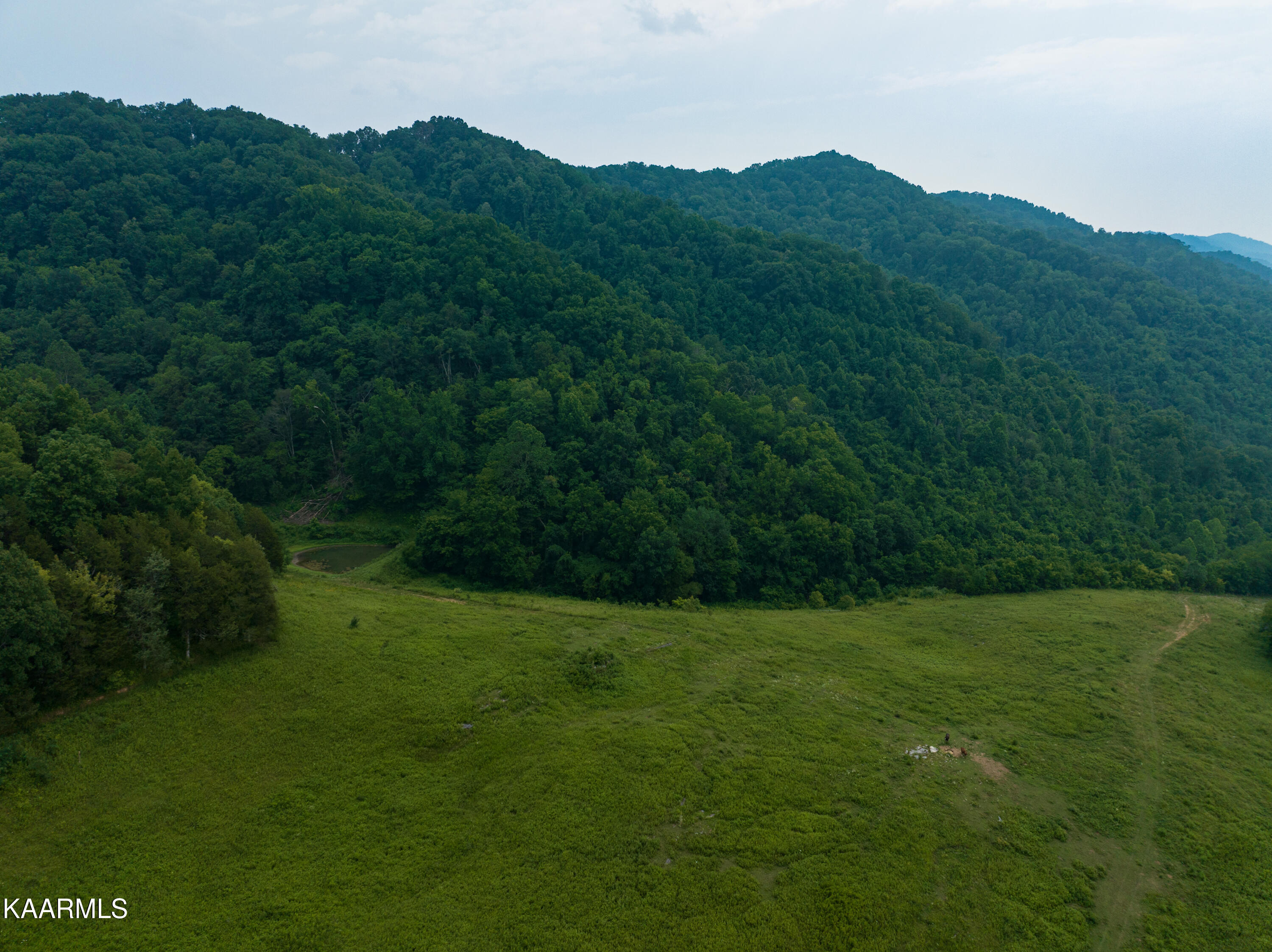 0 River Road Tazewell, TN 37879 - Photo 33 of 37 Powell River Listing Photos-34