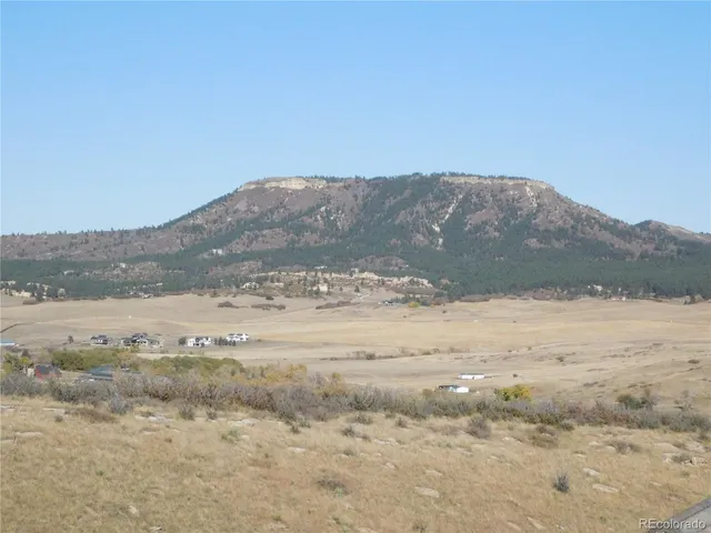 a view of a dry yard with large trees