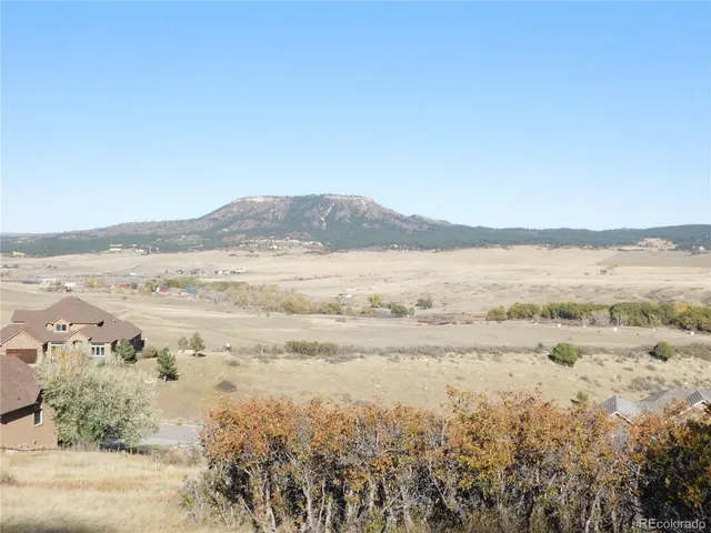 a view of a dry space with lots of trees