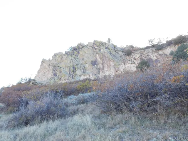 a view of a dry yard