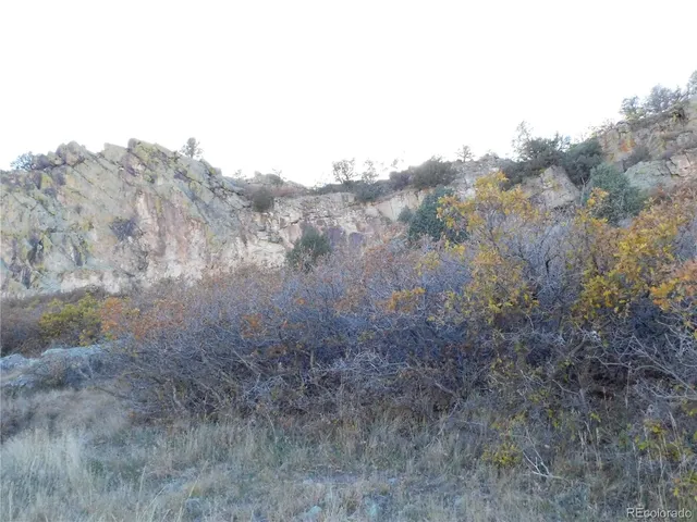 a view of a dry yard with mountains in the background