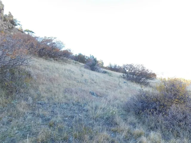 a view of a large tree in a field with a mountain in the background