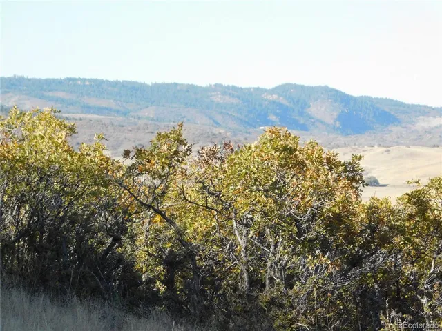 $199,900 | 5498 Country Club Drive, Larkspur, CO 80118