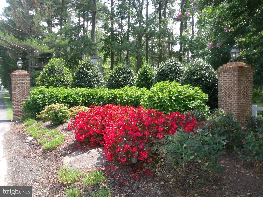 35565 Catamaran Road Millsboro, DE 19966 - Photo 24 of 30 Gallery Image 24