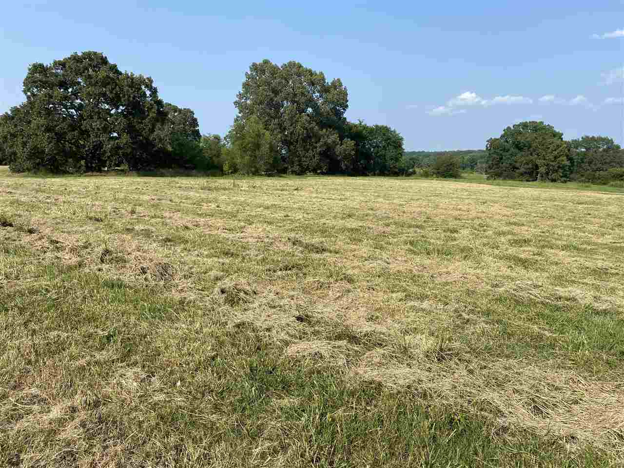 2635 Tomlin Road Somerville, TN 38068 - Photo 1 of 3 Gallery Image 1