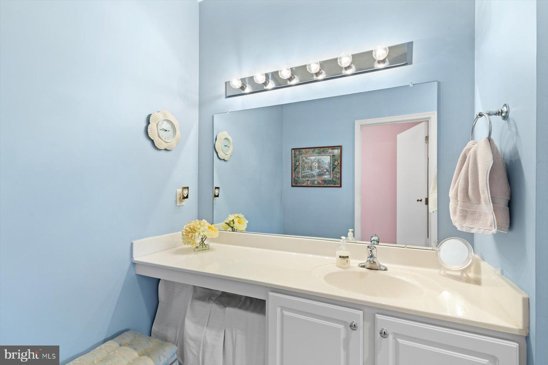 30413 Cedar Neck Road, Unit 309 Ocean View, DE 19970 - Photo 22 of 53 Owner's Bath